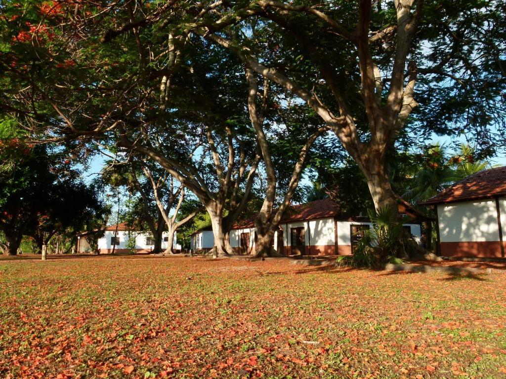 Hotel Pousada Xaraés à Todos os Santos Extérieur photo